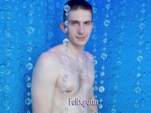 Felixgunn