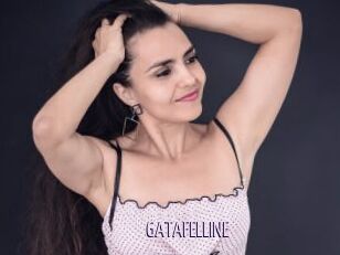 GATAFELLINE