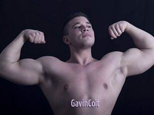 GavinColt