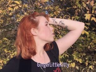 GingerLittleKitty