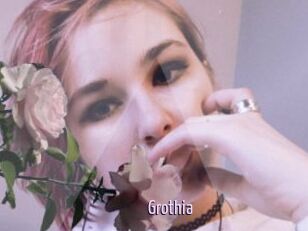 Grothia