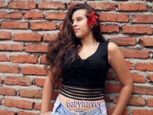 Gabyharvey