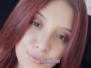 Gaiaoconer