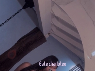 Gate_charlotee
