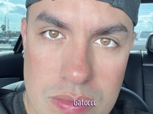 Gatoccc
