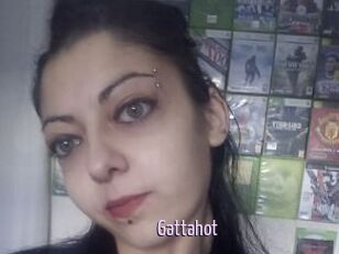 Gattahot