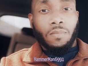 HammerMan6991