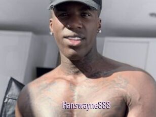 Hanswayne888