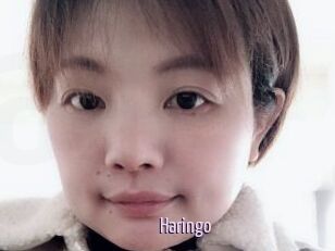 Haringo