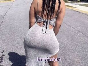 Hornytool500