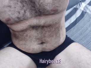 Hairybear18