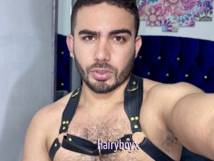 Hairyboyx