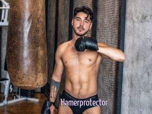 Hamerprotector