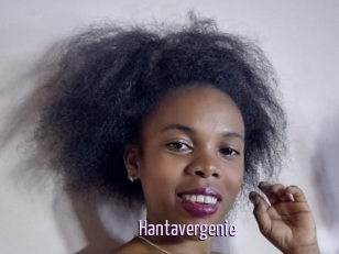 Hantavergenie