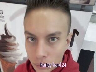 Harley_hard24