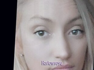 Harlowrose