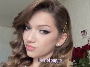 Harrietbagge
