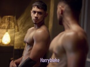 Harryblake