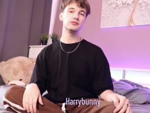 Harrybunny