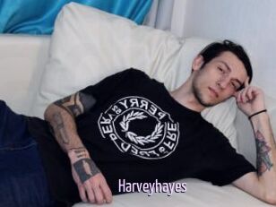 Harveyhayes