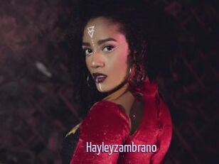 Hayleyzambrano