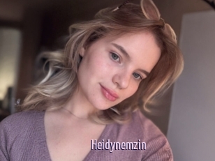 Heidynemzin