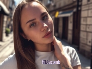Hildacomb