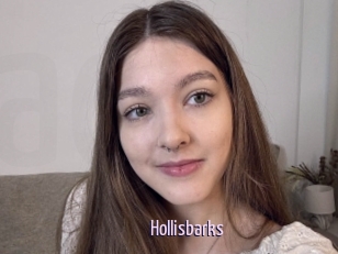 Hollisbarks
