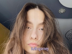 Hollisgarney