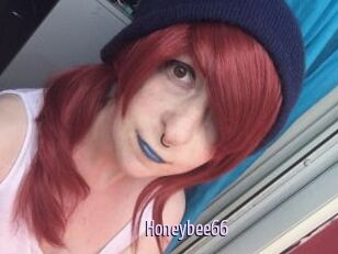 Honeybee66