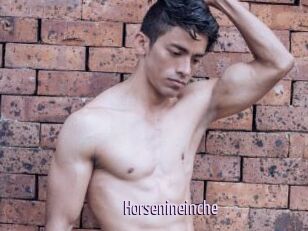 Horsenineinche
