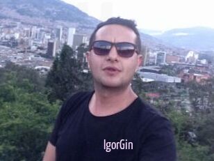IgorGin
