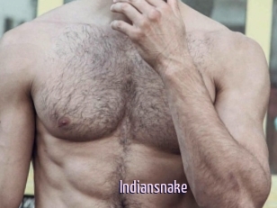 Indiansnake