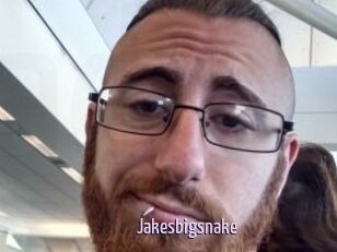 Jakesbigsnake