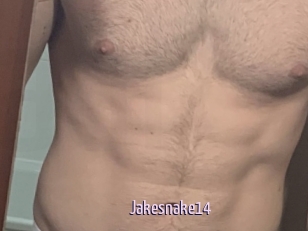 Jakesnake14