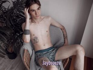 Jaybreeze