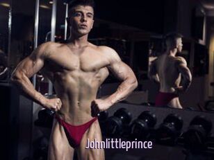 Johnlittleprince