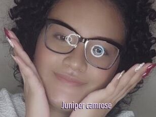 Juniper_camrose