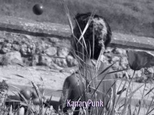 KanaryPunk