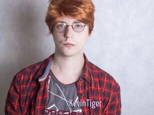 KevinTiger