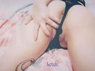 Kotek