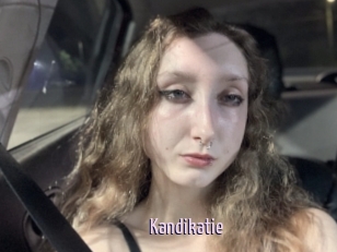 Kandikatie
