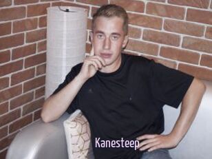 Kanesteep