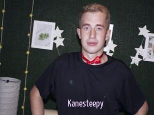 Kanesteepy