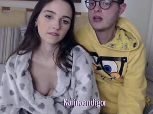 Karinaandigor