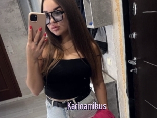 Karinamikus