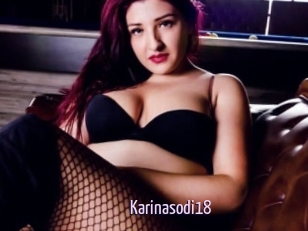 Karinasodi18