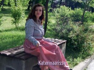 Katerinaarisse