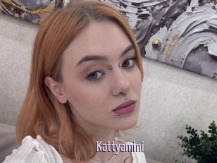 Kattyamini