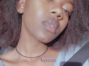 Kesandu